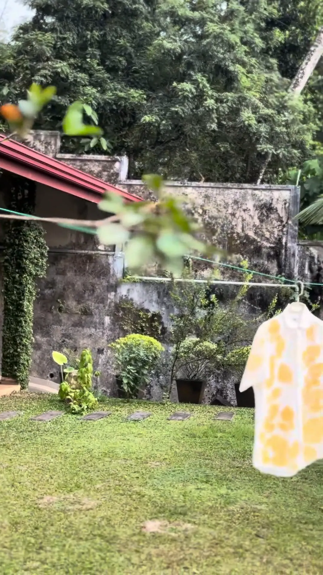 The camera moves through garden foliage to a washing line where a printed shirt and a printed cloth hang to dry.