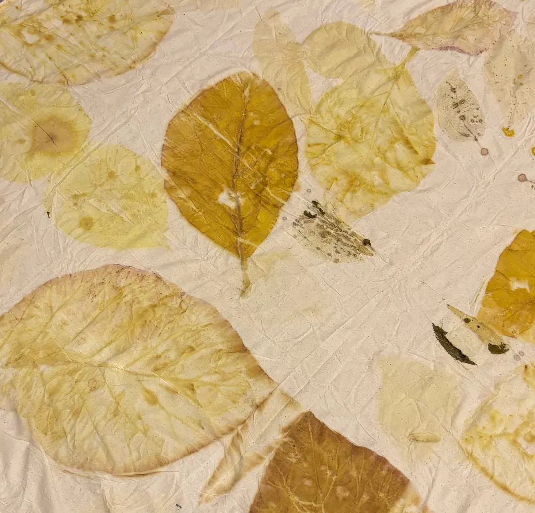 A cream cloth printed with large golden and ochre leaves, moving gently like fabric in a breeze.