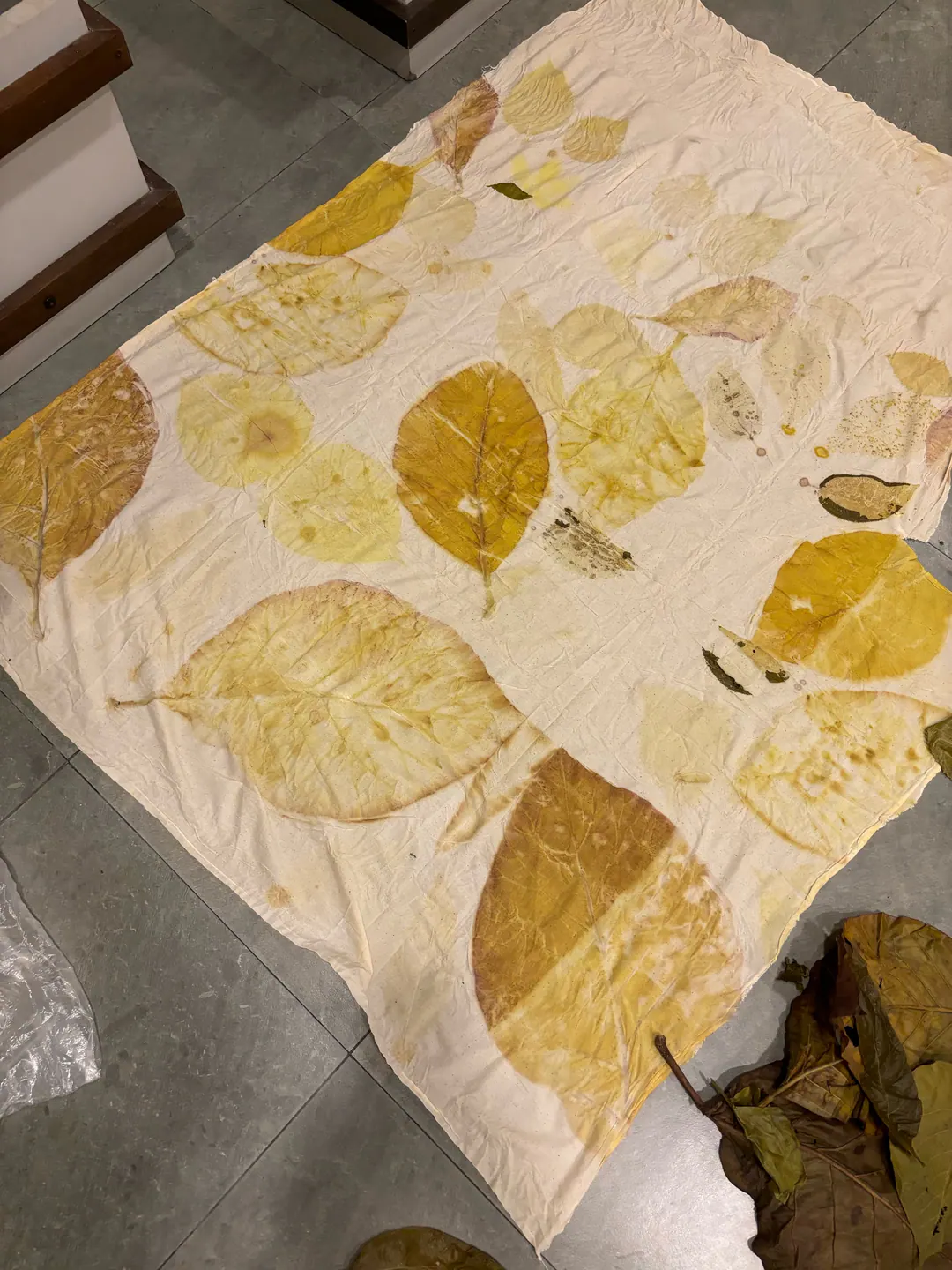 The whole golden-leaf cloth laid out on a tiled floor after opening, with leaves gathered beside it.