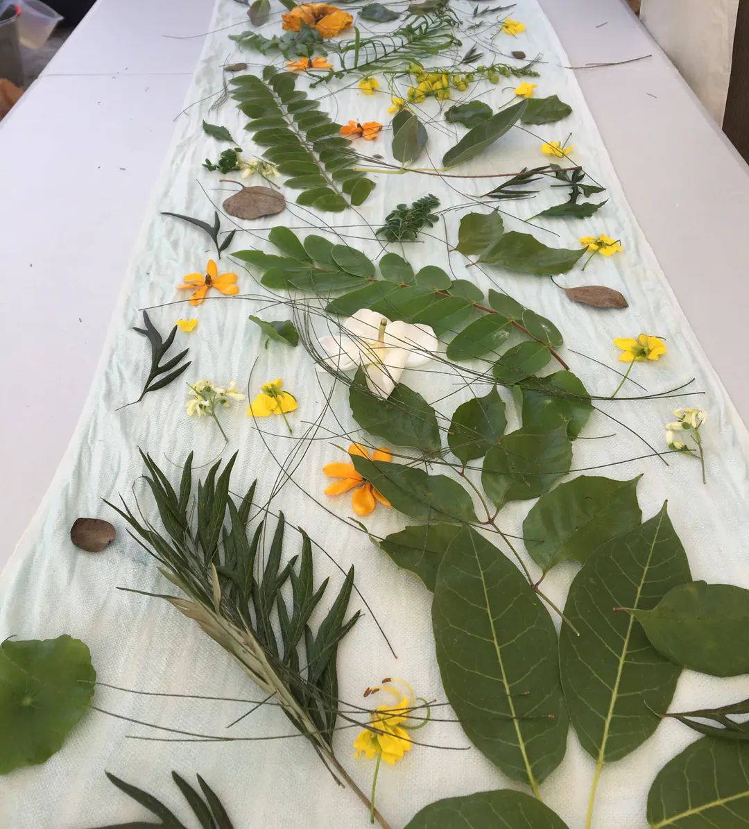 Fresh leaves and yellow, orange and white flowers laid out along a pale cloth on a long table, ready to print.