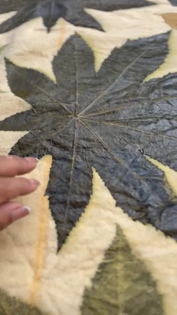 A dark, steamed palmate leaf is peeled back to reveal its green print on cream cloth.