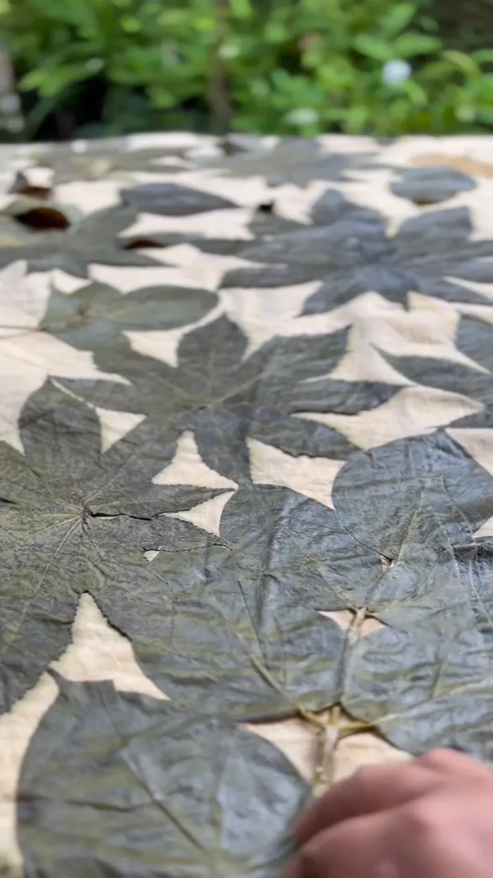 Hands peel a large dark palmate leaf away from a cream cloth, revealing the leaf prints beneath.