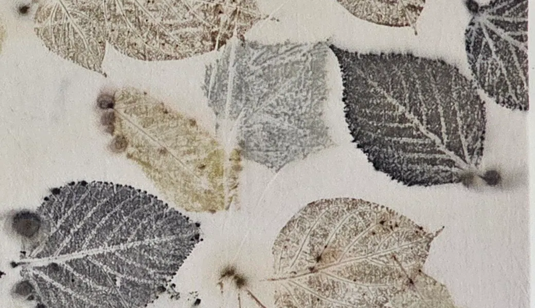 Close-up of slate-grey and stone leaf impressions showing their fine veins.